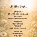 삶의 족쇄를 풀고, 이렇게 살 수만 있다면 얼마나 좋을까 이미지