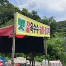 우인 민박 | ⛰🏊🏼‍♂️괴산 쌍곡계곡 : 우인펜션민박 평상 대여/ 물놀이 후기/ 깊은 계곡 추천