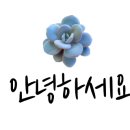 멋쟁이옷가게 이미지