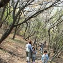 아름솔 유치원 이미지