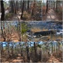 팔장선원 | 운문사와 원동매화