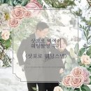 자작&white | [W 12] 삿포로 비에이 웨딩스냅 촬영 후기 | 2월 삿포로 비에이 내돈내산 웨딩스냅 후기 | 폭설 속 설경...