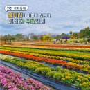 선사유적지공용주차장 | 경기도 연천 국화축제 전곡리선사유적지 실시간 방문팁