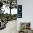 오드리푸드 | 제주도 독채펜션 5살 20개월 아기랑 부모님과 함께!(f.오드리물 C동)