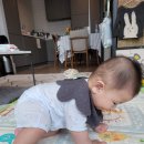 모모마트 이미지