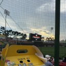 왕천파닭 운천점 이미지