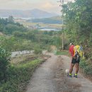 악동강아지 이미지