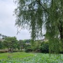 수원-2038 이미지