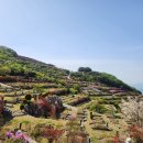 삼덕공원 앞 이미지