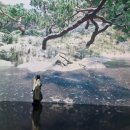 숲실제3농로 | 화담숲 화담채 엄마랑 단풍여행 막차 탑승 후기 화담숲 단풍 실시간