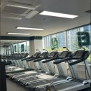 가오짐 피티샵 이미지