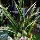 광명농원 이미지