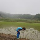 무창포솔원캠핑장 이미지