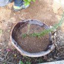 광휘농장 이미지