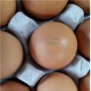 서도농장 이미지