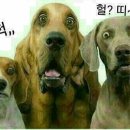 같이 이미지