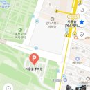 서울숲 산책 그리고 빈스앤베리즈 갤러리아포레점
