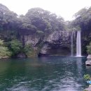 천지연폭포 이미지