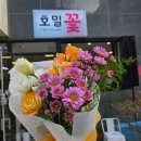호밀꽃집 이미지