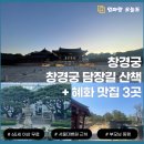 카페거리 동물병원 동행 | 서울대병원 근처 산책 코스 + 혜화 맛집 (창경궁 담장길, 부모님 동행 실제 후기)