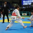 한상기 주짓수 이미지