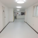 머뭄 애견유치원 이미지