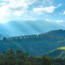 방배래미안공인중개사사무소 이미지