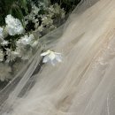 베스트 | W17. 울산 아이폰스냅 더베스트데이 추천 후기