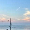 아마스빌리조트 이미지