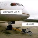 2025 세븐틴 캐럿 짝짝 캐럿랜드!