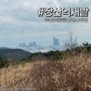 장산산림욕장약수터 | 부산 장산 등산코스 추천. 초보 어린이도 거뜬한 대천공원 출발 억새밭 코스 상세정리