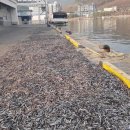 기장수산업협동조합 이미지