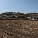 고양촌마을 Daum카페