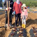 장화농장2 | 대전 주말농장｜2026 복용동 공영도시농업농장 분양 신청(기간·방법·주의사항), 실제 후기