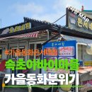 은서네집 네이버블로그
