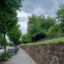 굴산사지입구 | [急답사 프로젝트] 02.강릉