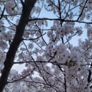 창원대로-1 이미지