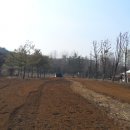 상당근린공원 이미지