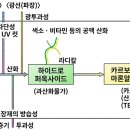 일본 포장기술 편람(식품의 포장) - 4 식품 성분의 산화 및 식품의 변색(2) 이미지