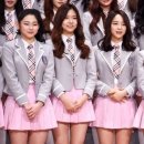 세정