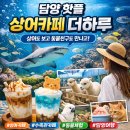 더하루 | [담양 이색카페] 상어와 조명쇼가 있는 특별한 카페 더하루 방문후기
