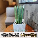 식물 덕후의 천국 강원도원주꽃집 &#39;초록나라 식물원&#39; 방문기