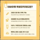세종애견