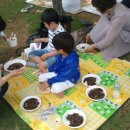 효성유치원 이미지