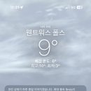 컨스앤컨스