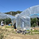 금산군청 이미지