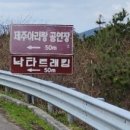 성읍분투왓