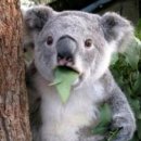 룰루랄라 이미지