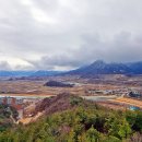 문경 오미자테마터널 이미지