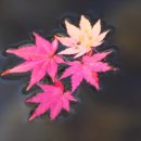 좋고좋다 이미지